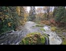 fall tumwater falls park